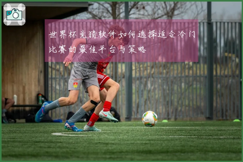 世界杯竞猜软件如何选择适合冷门比赛的最佳平台与策略