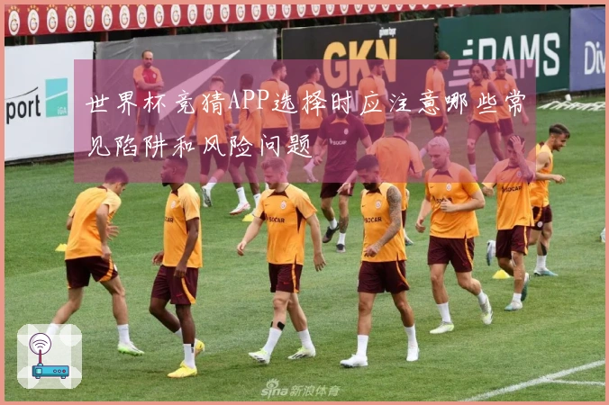 世界杯竞猜APP选择时应注意哪些常见陷阱和风险问题
