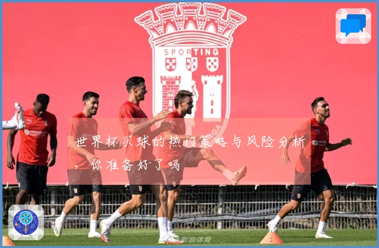 世界杯买球的热门策略与风险分析，你准备好了吗