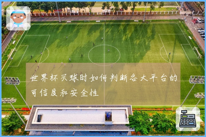 世界杯买球时如何判断各大平台的可信度和安全性