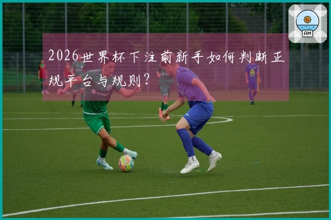 2026世界杯下注前新手如何判断正规平台与规则？