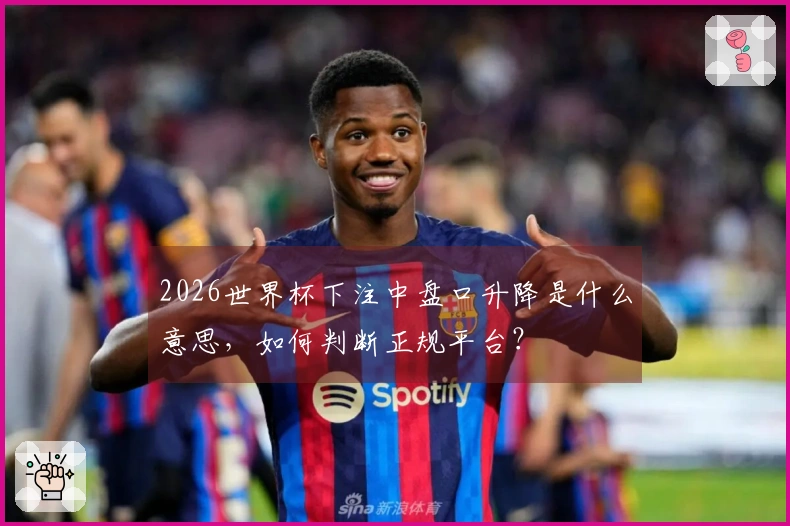 2026世界杯下注中盘口升降是什么意思，如何判断正规平台？