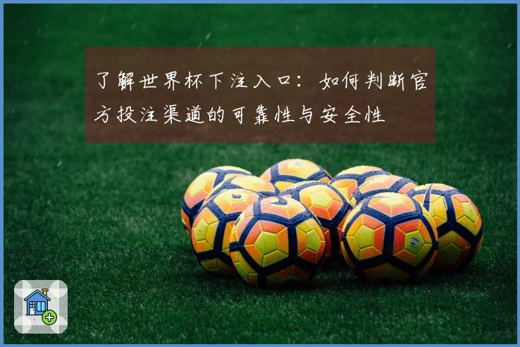 了解世界杯下注入口：如何判断官方投注渠道的可靠性与安全性