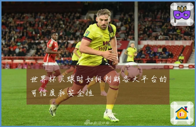 世界杯买球时如何判断各大平台的可信度和安全性