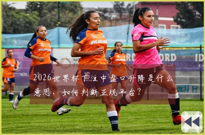 2026世界杯下注中盘口升降是什么意思，如何判断正规平台？