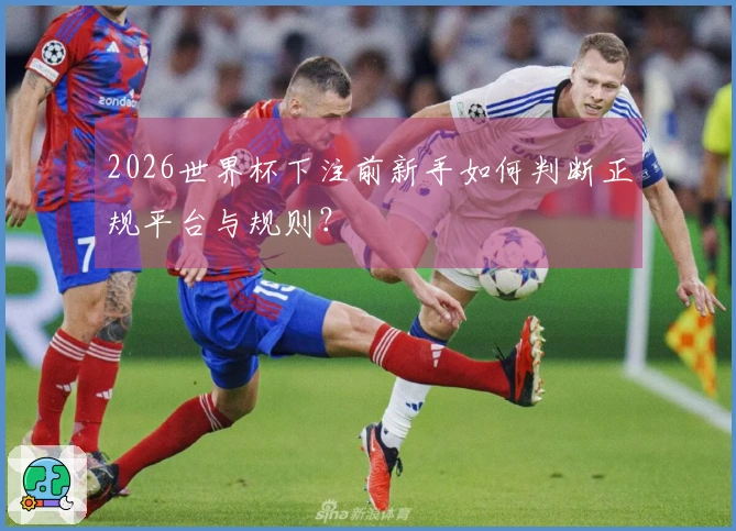 2026世界杯下注前新手如何判断正规平台与规则？