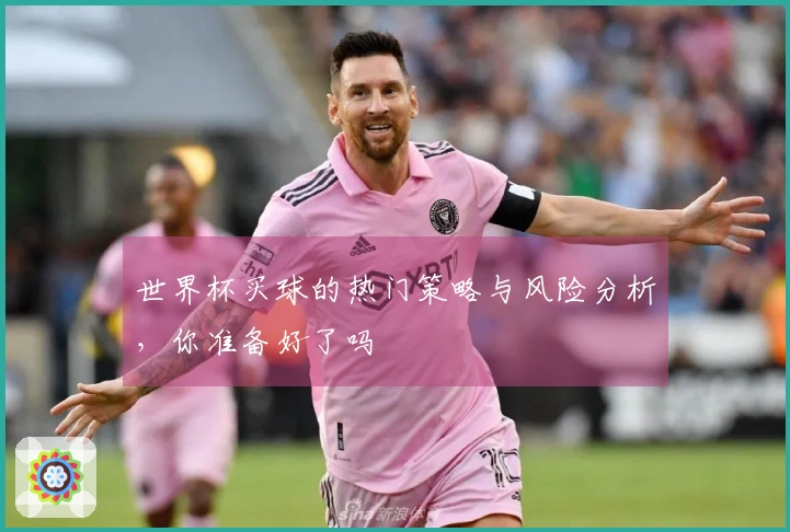 世界杯买球的热门策略与风险分析，你准备好了吗